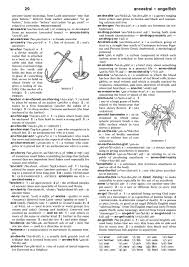 Maybe you would like to learn more about one of these? Buy Merriam Webster S Intermediate Dictionary Book Online At Low Prices In India Merriam Webster S Intermediate Dictionary Reviews Ratings Amazon In