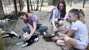 Emerald Coast Zoo Map Emerald Coast Zoo Welcomes Baby Sloth, Monkey (Photos)