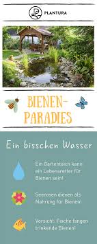 10 Tipps Fur Ein Bienenparadies Im Eigenen Garten Wasser Bienensterben Nicht Mit Uns Mit Diesen Zehn Tipps Garten Bienenfreundliche Pflanzen Gartenarbeit