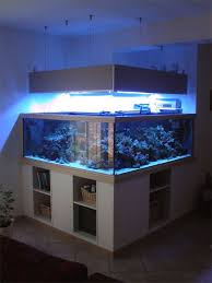 Aquarium Maison