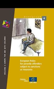 Risk factors and what we can do to help prevent juveniles from turning to a delinquent lifestyle. Pdf European Rules For Juvenile Offenders Subject To Sanctions Or Measures