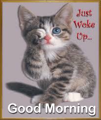 So are you searching for good morning quotes to send to your loved ones in the morning than you are at the right place which shows the feelings & love to your special one here we have the latest 2020… Morning Wishes Good Morning Funny Gif Animation