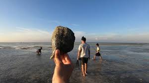 Book now and avail extra baggage allowance, business class upgrades and flexible change and rebooking options. Search Youtube Channels Noxinfluencer