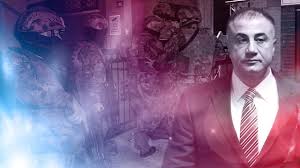 Sedat peker'in dedesi ahmet bey'de peker soy adını almış ve rize'den göç edip adapazarı'na yerleşmiştir. Sedat Peker Suc Orgutune Operasyon 10 Tutuklama Son Dakika Haberleri