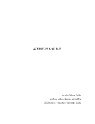 Doc Studiu De Caz Hori Amalia Sabau Academia Edu