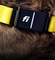 Smart Pet Activity Monitor