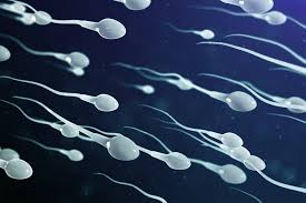 Maybe you would like to learn more about one of these? Ø§Ù„Ø­ÙŠÙˆØ§Ù†Ø§Øª Ø§Ù„Ù…Ù†ÙˆÙŠØ© ÙˆØ­Ø±Ø¨ Ø§Ù„Ø¨Ù‚Ø§Ø¡ Ø³Ø§ÙŠÙ†Ø³ÙˆÙÙŠÙ„ÙŠØ§