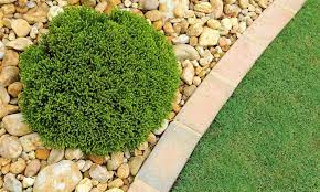 We did not find results for: Low Maintenance Landscaping Garden Ideas Tips Tricks And Advice