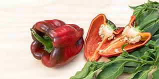 Image result for Anchomanes giganteus