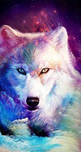 450 58 wolf raubtier flüge. Rainbow Wolf Wallpapers Wallpaper Cave