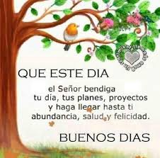 Estas nuevas y bonitas frases cristianas ilustradas en imagenes de buenos dias para saludar el inicio de semana,son palabras de dios de animo y aliento para todas aquellas personas que depositan su fe en el señor.asi que puedes bajar gratis estas tarjetas cristianas y. Pin En Pensamientos Frases Y Mas