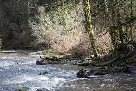 Talk Nerdy To Me: Williams Park {Langley, BC}