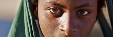 Situation Update: Sudan December 2025