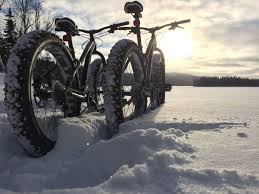 Pin On Winter