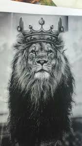 The Queen Has Left The Building Lion Pictures Lion Art Lion Tattoo