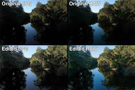 Below are answers on the questions people ask most frequently. Raw Vs Jpg The Digital Process