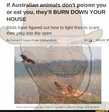 Unfreakingbelievable Australian Animals Memes Ninjago Memes