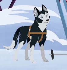 Siberian Husky Canis Lupus Familiaris Wild Kratts Siberian Husky African Wild Dog