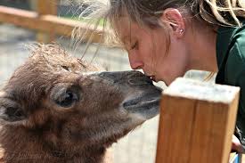 National ZooKeeper Week: Olivia...