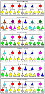 Kinship Terminology Wikipedia