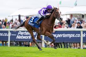 BloodHorse - News update