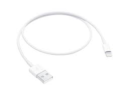 Lightning To Usb Cable 0 5 M Apple