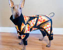 American Hairless Terrier Etsy Hairless Dog Mexican Hairless Dog Terrier