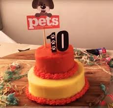 Après l'avoir cuite, je l'ai découpée en forme d'os et je l'ai dépolie avec du beurre d'arachide. Comment Faire Un Gateau D Anniversaire Pour Chien Recette A Decouvrir