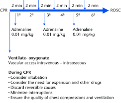 1reversible causes hypoxia hypovolaemia hypo/hyperkalaemia/metabolic hypothermia. Algorithm Of Advanced Cardiopulmonary Resuscitation Cpr In Download Scientific Diagram