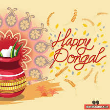 Check spelling or type a new query. Best Pongal Wishes And Status 2021 Pongal Wishing Images And Quotes