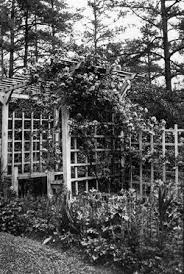 Garden Arbor 1930s Garden Arbor Outdoor Gardens Garden