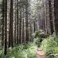 No. CA: Meander the McKinleyville Community Forest