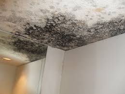 Yes, and you have to remove it and kill anything left over. Learn All About Mold