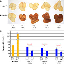 Click on the coloring page to open in a new window and print. Potato Chip Color And Acrylamide Content In Chips Derived From Download Scientific Diagram