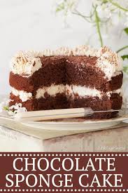 Easy Chocolate Sponge Cake Chocolate Sponge Cake Sponge Cake Recipes Dessert Recipes Easy