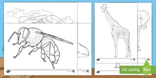 As you color these pages, you will journey to oceans, swamps, deserts, and islands and bring to life a variety of plants and animals. Earth Day 2019 Endangered Species Colouring Pages