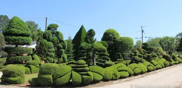 Mga resulta ng larawan para sa Topiary Pearl Fryar’s Garden, South Carolina"