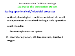 A ppt to check kids' knowledge of how to spell animals names after having dealt with the topic. Lecture 9a Scaling Up