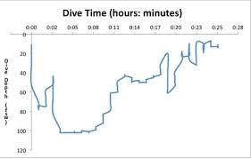 Divers Alert Network Omitted Predive Buoyancy Check Leads