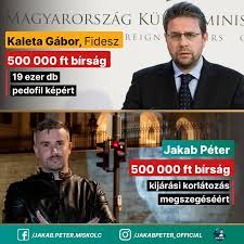 We did not find results for: Peter Jakab Came Out Of The Police He Will Not Escape This Action Either