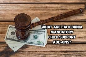 It is important for a custodial parent to consider how ordering additional coverage for a child eligible for medicaid or chip may impact the amount of, or. California Mandatory Child Support Add Ons A People S Choice