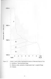 Image result for Acrotome thorncroftii