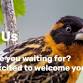 Vancouver Audubon Monthly Program