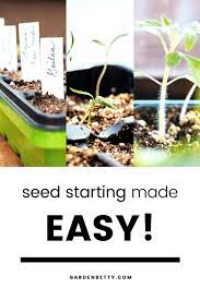Get This Foolproof Beginners Guide To Starting Seeds Indoors Starting Seeds Indoors Seed Starting Fall Garden Vegetables