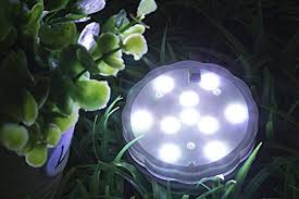 Best Pond Lighting Ode Magazine