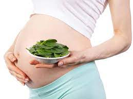 Spinach Palak During Pregnancy Is It Safe To Eat