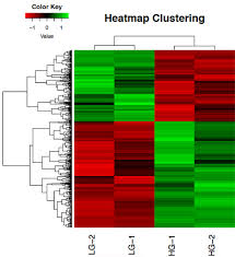 Image result for bioinformatics heatmap