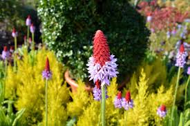 See 219 traveller reviews, 139 candid photos, and great deals for polean farm cottages, ranked #1 of 6 speciality lodging in pelynt and rated 4.5 of 5. Herbaceous Perennials In St Neots Herbaceous Perennials In Ampthill