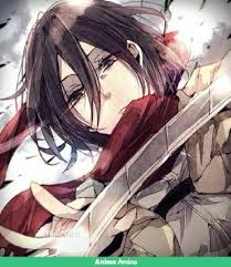 Pin On Mikasa Ackerman