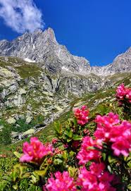 Paesaggi Gratuiti In Bassa Valtellina 5 Idee Tutte Da Camminare